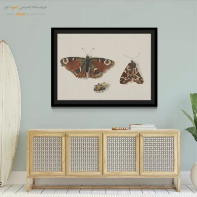 تابلو پروانه - اسپو دکور
