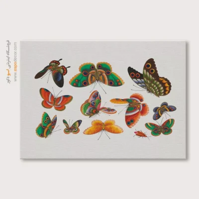 تابلو پروانه - اسپو دکور