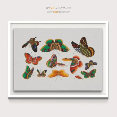 تابلو پروانه - اسپو دکور