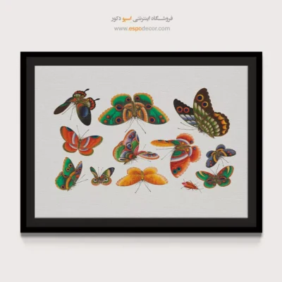 تابلو پروانه - اسپو دکور