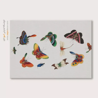 تابلو پروانه - اسپو دکور