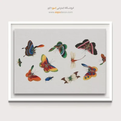 تابلو پروانه - اسپو دکور