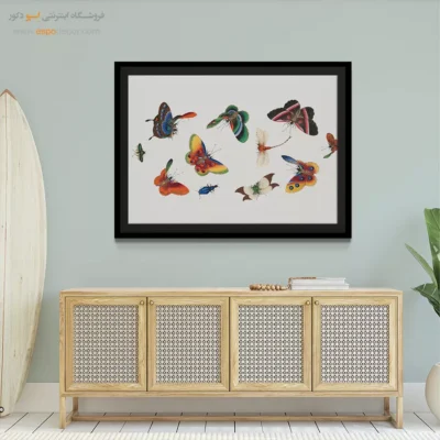 تابلو پروانه - اسپو دکور