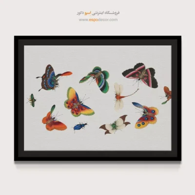 تابلو پروانه - اسپو دکور