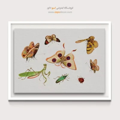 تابلو پروانه - اسپو دکور