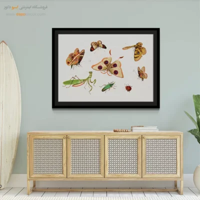 تابلو پروانه - اسپو دکور