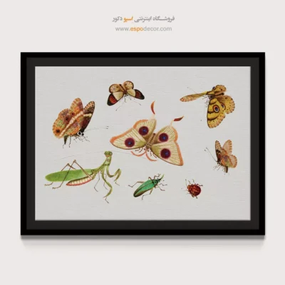 تابلو پروانه - اسپو دکور