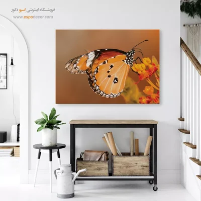 تابلو پروانه - اسپو دکور