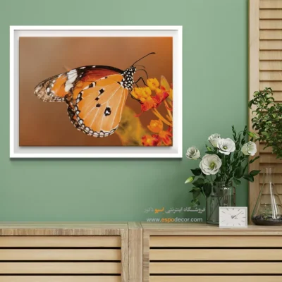 تابلو پروانه - اسپو دکور