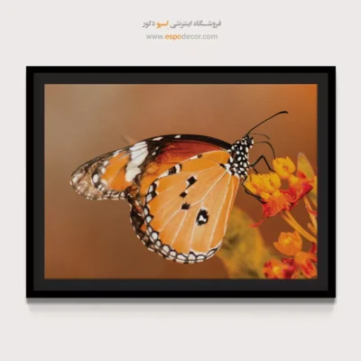 تابلو پروانه - اسپو دکور