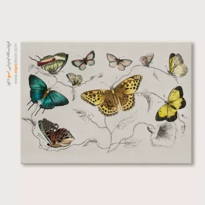 تابلو پروانه - اسپو دکور