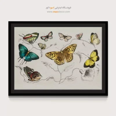 تابلو پروانه - اسپو دکور