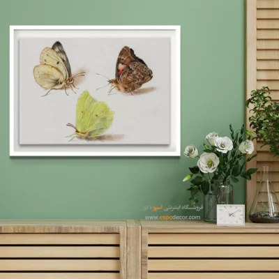 تابلو پروانه - اسپو دکور