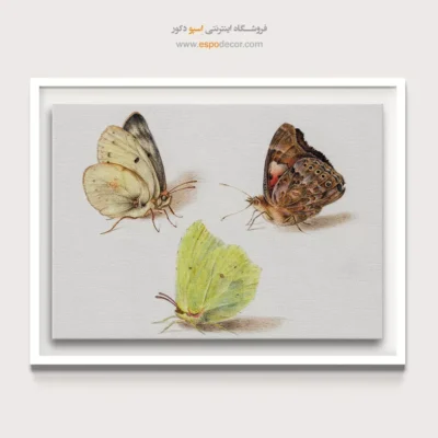 تابلو پروانه - اسپو دکور