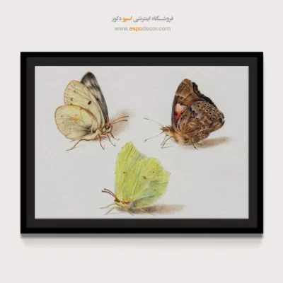 تابلو پروانه - اسپو دکور