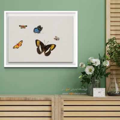 تابلو پروانه - اسپو دکور