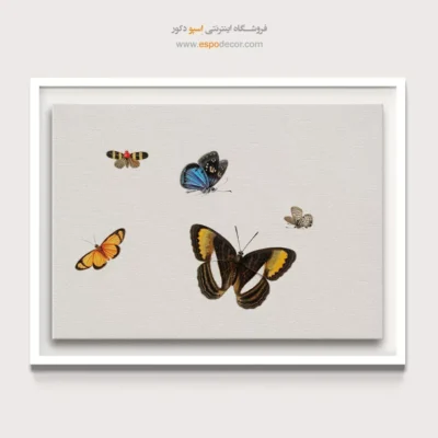 تابلو پروانه - اسپو دکور