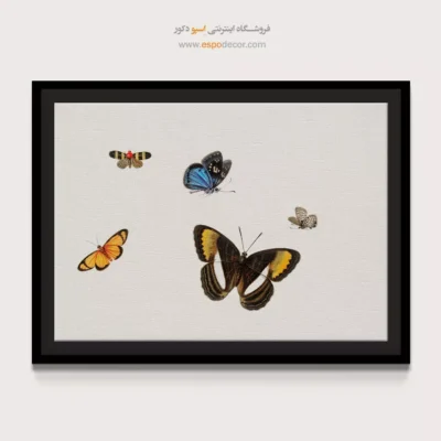 تابلو پروانه - اسپو دکور