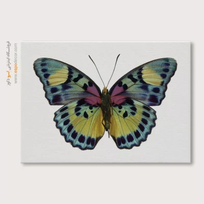 تابلو پروانه - اسپو دکور