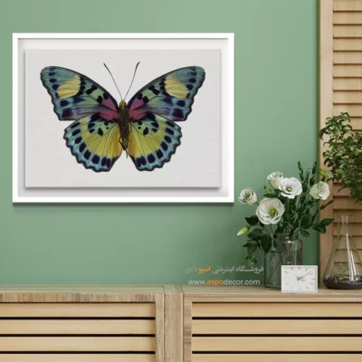 تابلو پروانه - اسپو دکور
