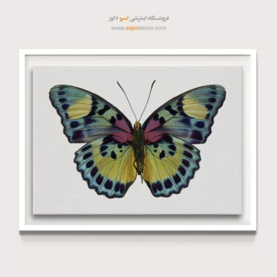 تابلو پروانه - اسپو دکور