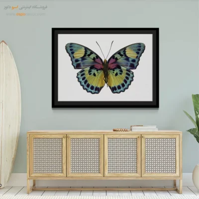 تابلو پروانه - اسپو دکور