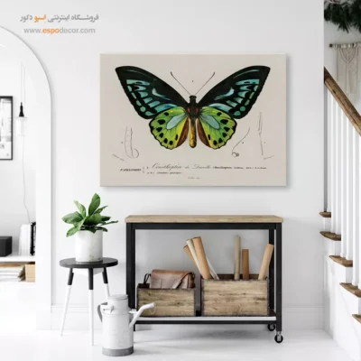 تابلو پروانه - اسپو دکور