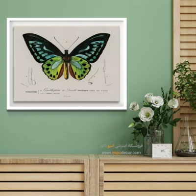 تابلو پروانه - اسپو دکور