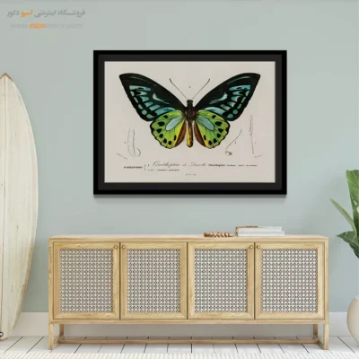 تابلو پروانه - اسپو دکور