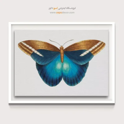 تابلو پروانه - اسپو دکور