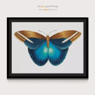 تابلو پروانه - اسپو دکور