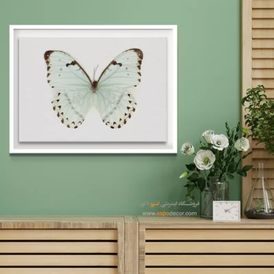 تابلو پروانه - اسپو دکور