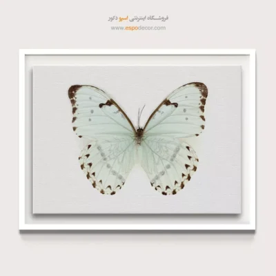 تابلو پروانه - اسپو دکور