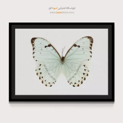 تابلو پروانه - اسپو دکور