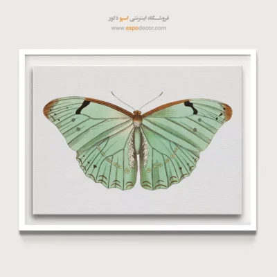 تابلو پروانه - اسپو دکور
