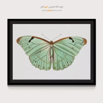 تابلو پروانه - اسپو دکور