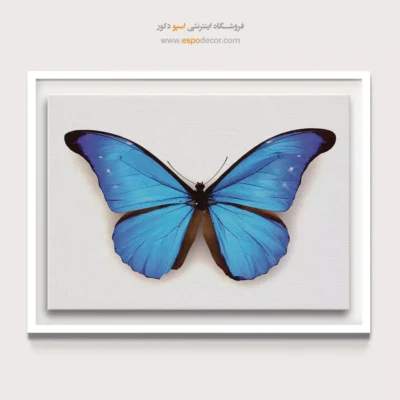 تابلو پروانه - اسپو دکور