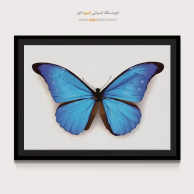 تابلو پروانه - اسپو دکور