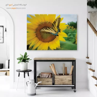 تابلو پروانه - اسپو دکور