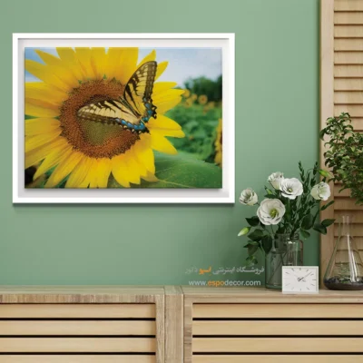 تابلو پروانه - اسپو دکور