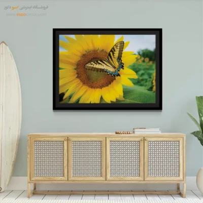 تابلو پروانه - اسپو دکور