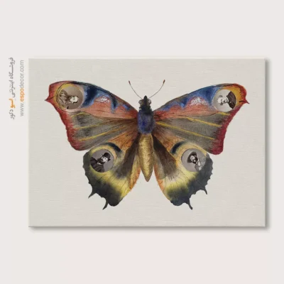 تابلو پروانه - اسپو دکور