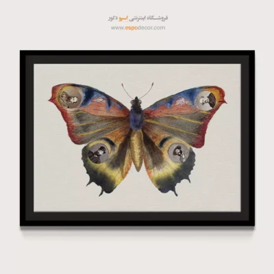 تابلو پروانه - اسپو دکور