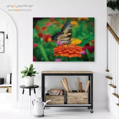 تابلو پروانه - اسپو دکور