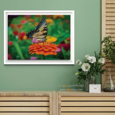 تابلو پروانه - اسپو دکور