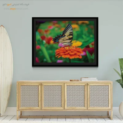 تابلو پروانه - اسپو دکور