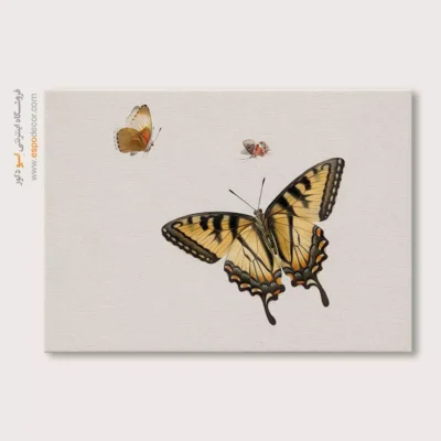 تابلو پروانه - اسپو دکور