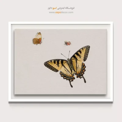 تابلو پروانه - اسپو دکور