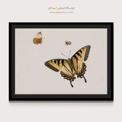 تابلو پروانه - اسپو دکور