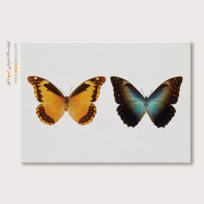 تابلو پروانه - اسپو دکور